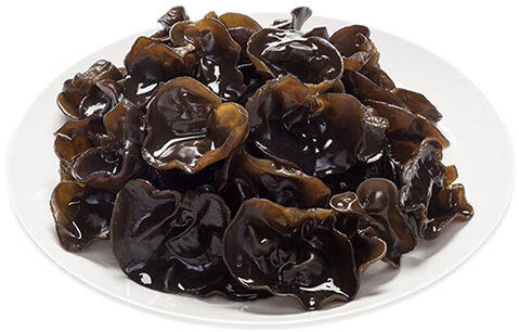 BLACK FUNGUS