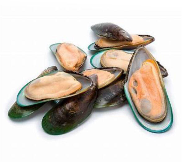 MUSSELS