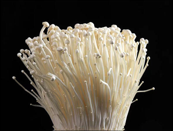 ENOKI MUSHROOMS