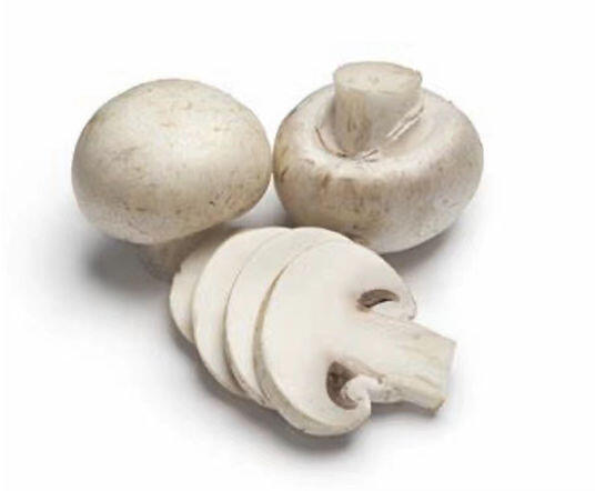 WHITE MUSHROOMS