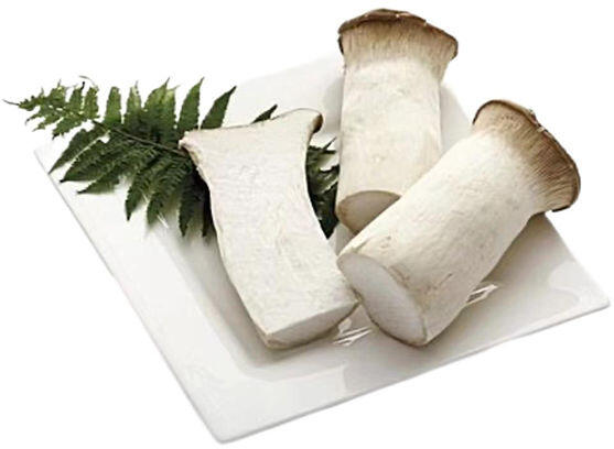 KING OYSTER MUSHROOMS