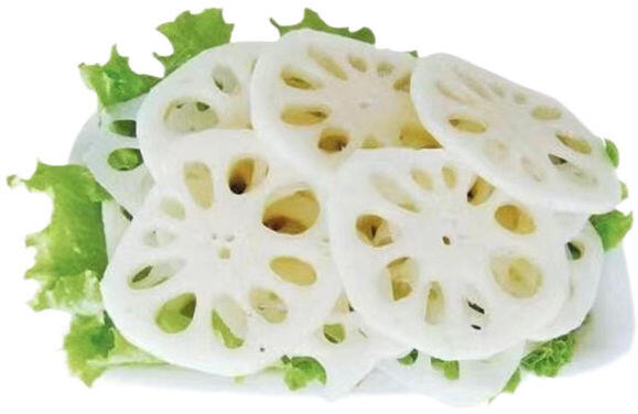 LOTUS ROOT