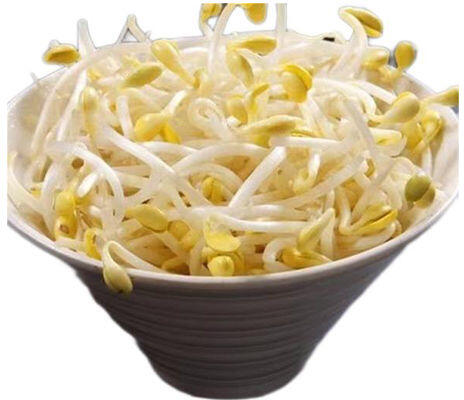 MUNG BEAN SPROUT
