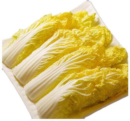 NAPA CABBAGE