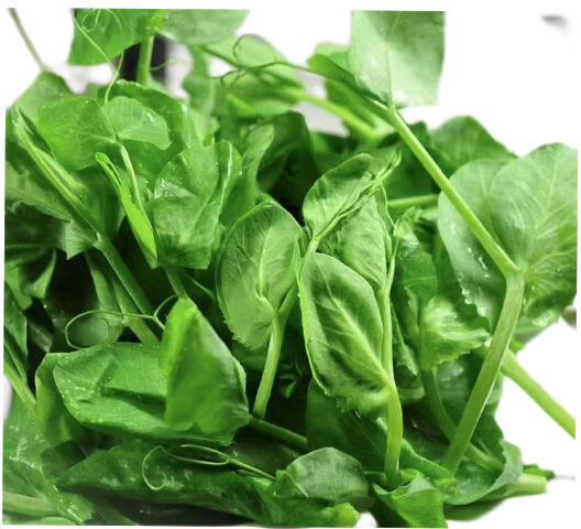 PEA TIP