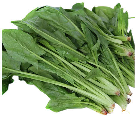 SPINACH