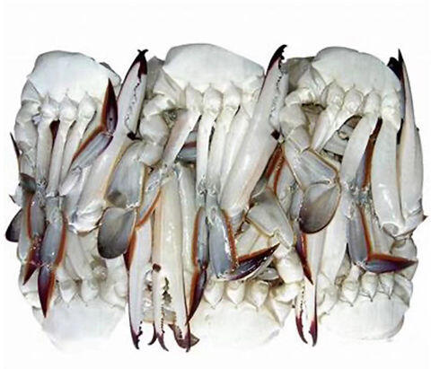 BLUE CRAB