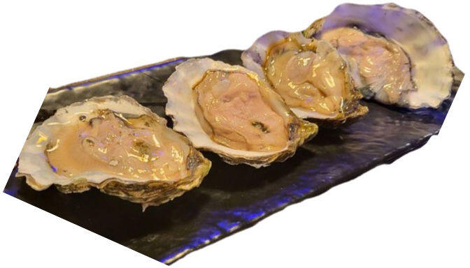 FRESH OYSTERS